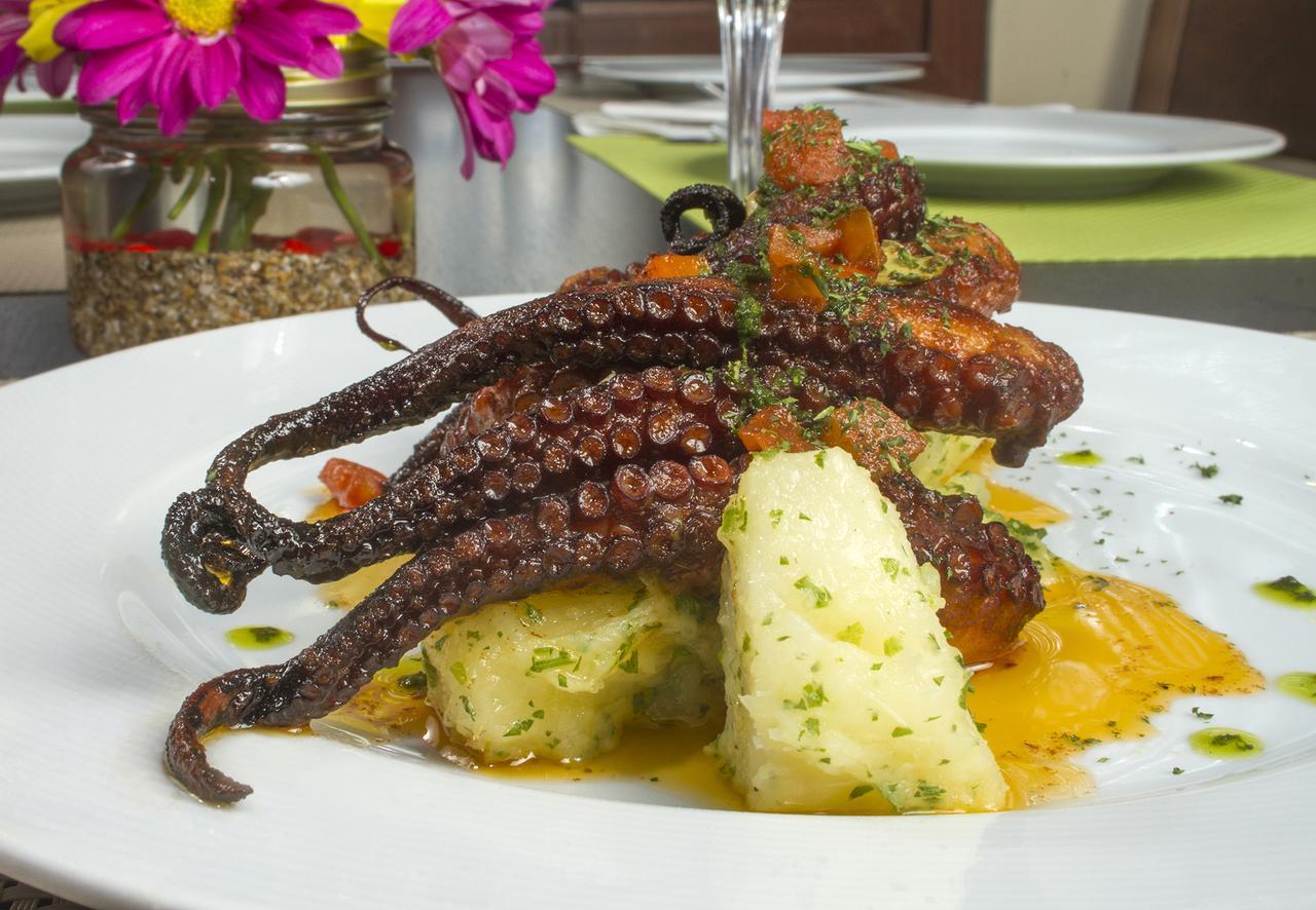 Volcán Los Brezos Hotel Boutique מראה חיצוני תמונה